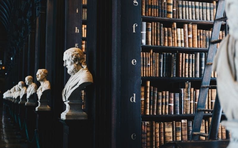 library with statues representing neighbouring rights