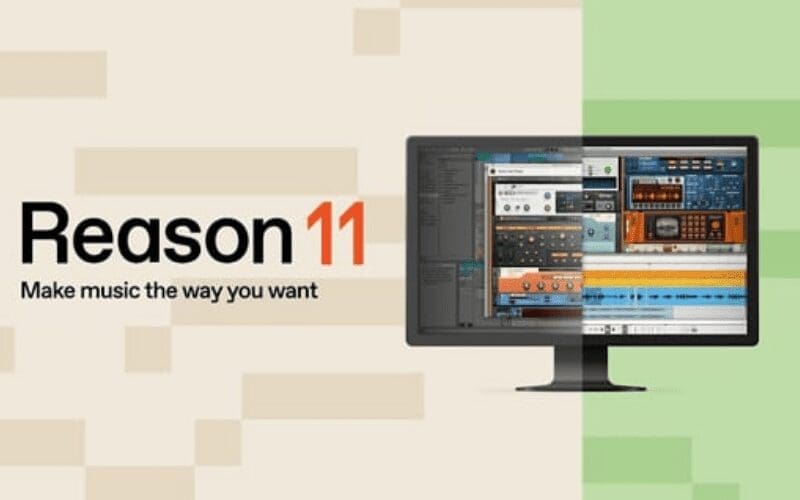 REASON 11