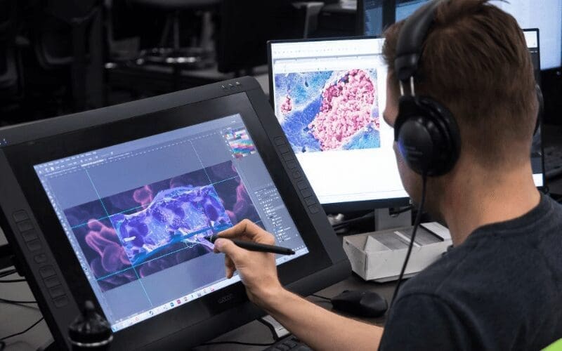 game designer