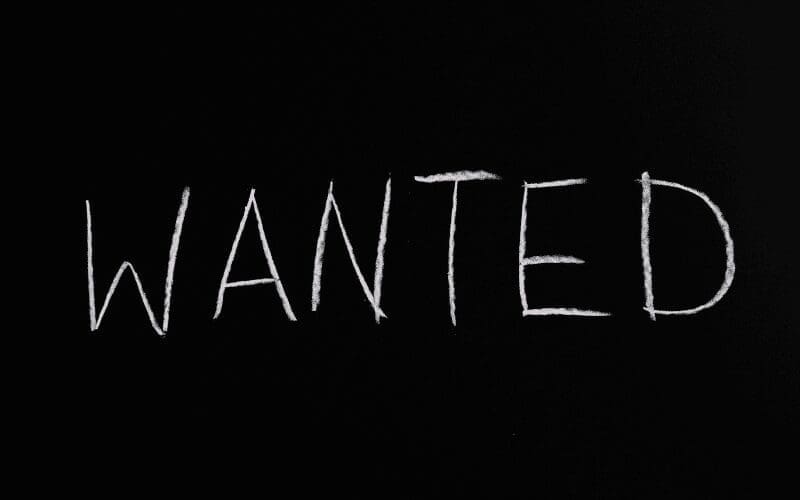 job search