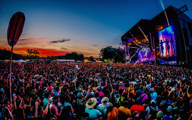 firefly festival