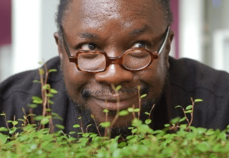 Mad Professor