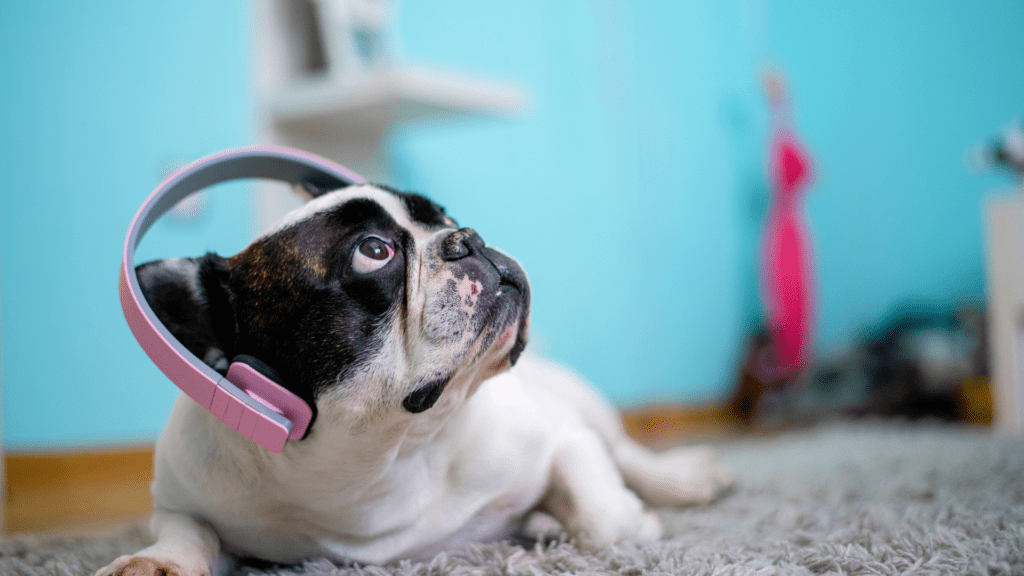Music For Dogs