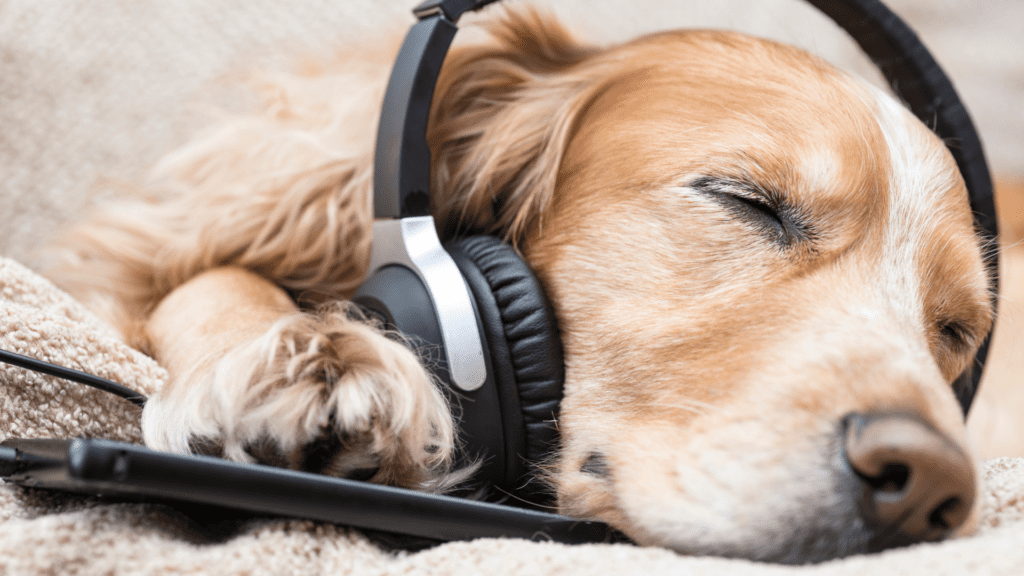 Sleeping
